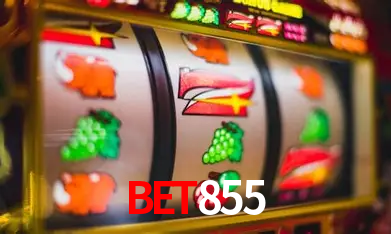 Interface Premium BET855